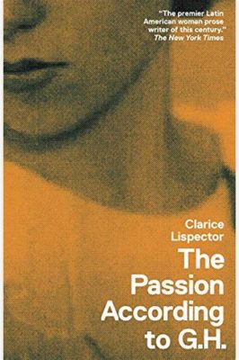  The Passion According to G.H.  A Story Of Forbidden Love And The Fragility Of Memory